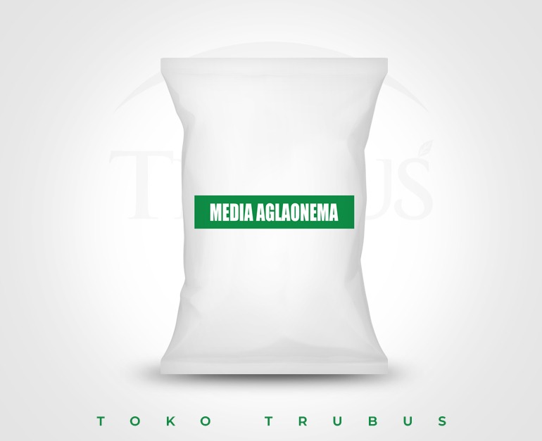 MEDIA AGLONEMA BAG