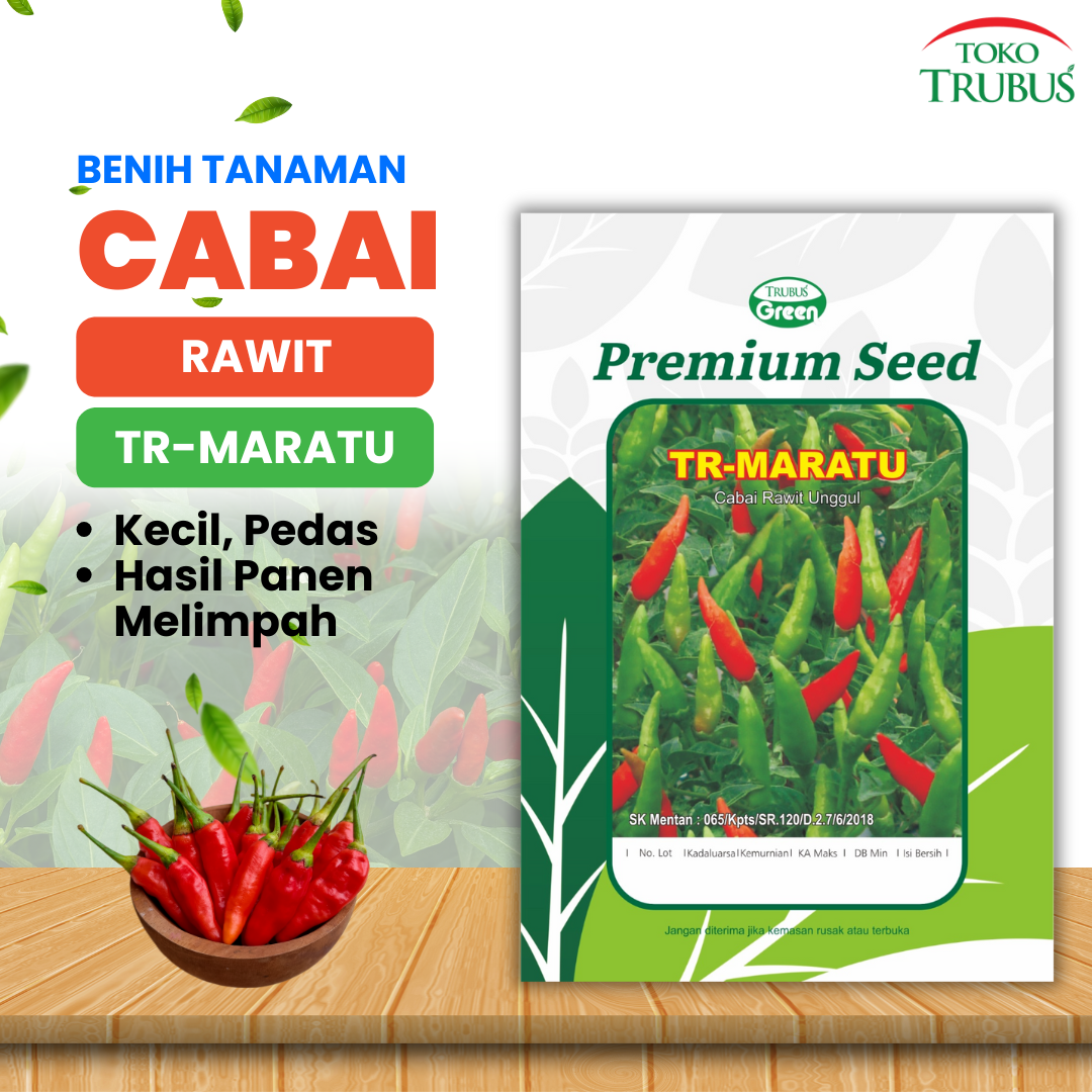 TRUBUS - BENIH TR. CABAI RAWIT MARATU