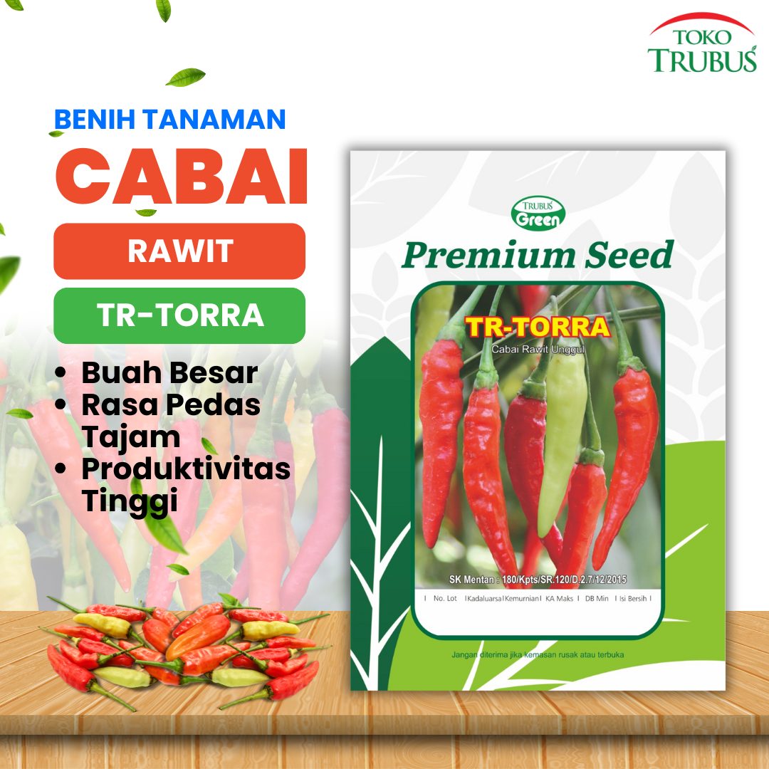 TRUBUS - BENIH TR. CABAI RAWIT UNGGUL TORRA