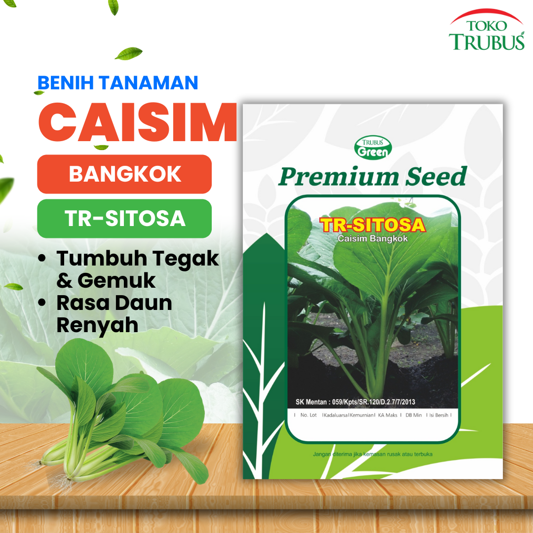 TRUBUS - BENIH TR. CAISIM BANGKOK SITOSA