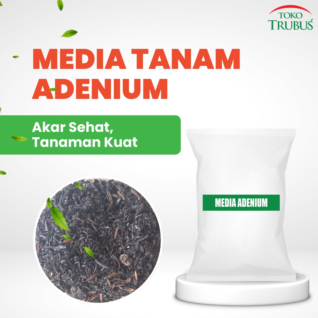 TRUBUS - MEDIA ADENIUM & EUPHORBIA