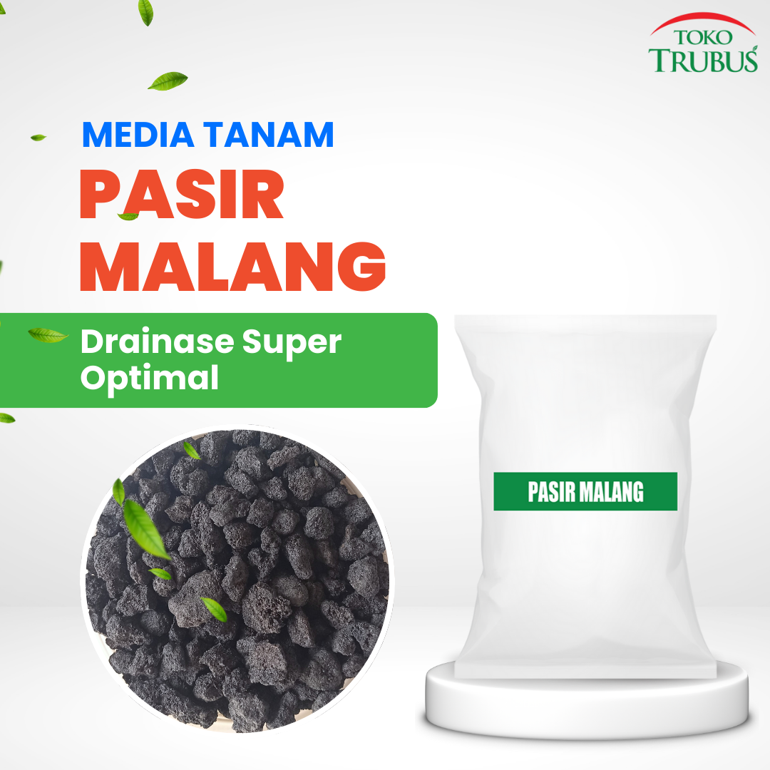 TRUBUS - MEDIA PASIR MALANG