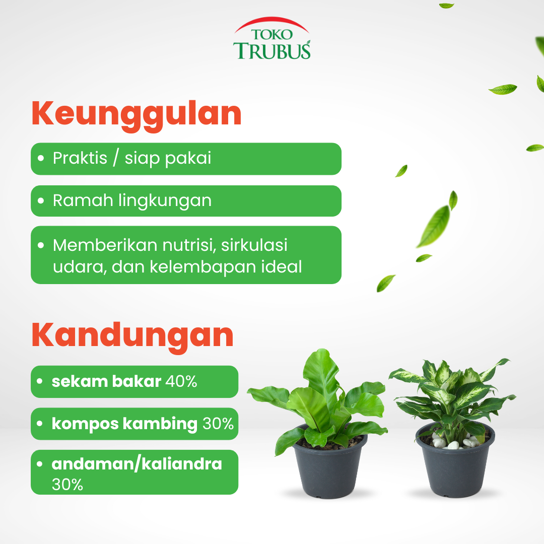 TRUBUS - MEDIA TANAM HIAS